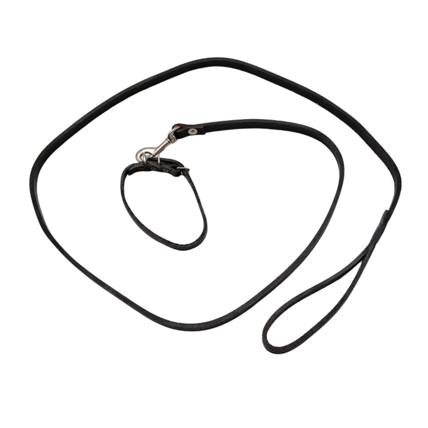 Leather Dog Leash with Matching Collar