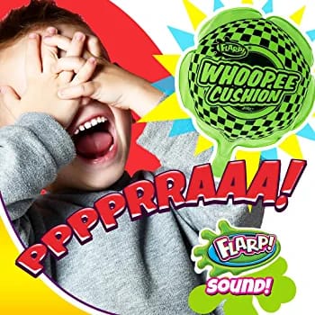 Whoopie Cushion