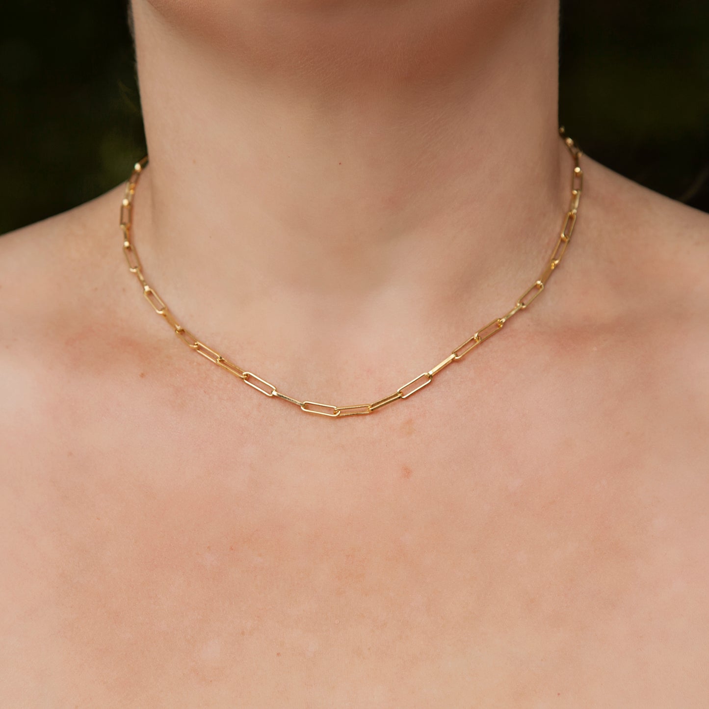 Gold-Plated Sterling Silver Paperclip Necklace (Long Link)