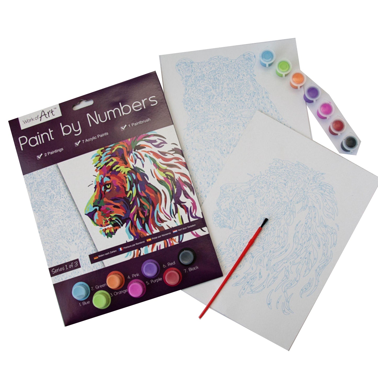 Paint by Numbers Set - Lions