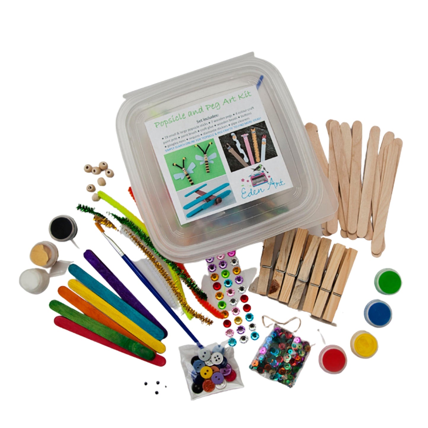 Popsicle and Peg Art Craft Kit