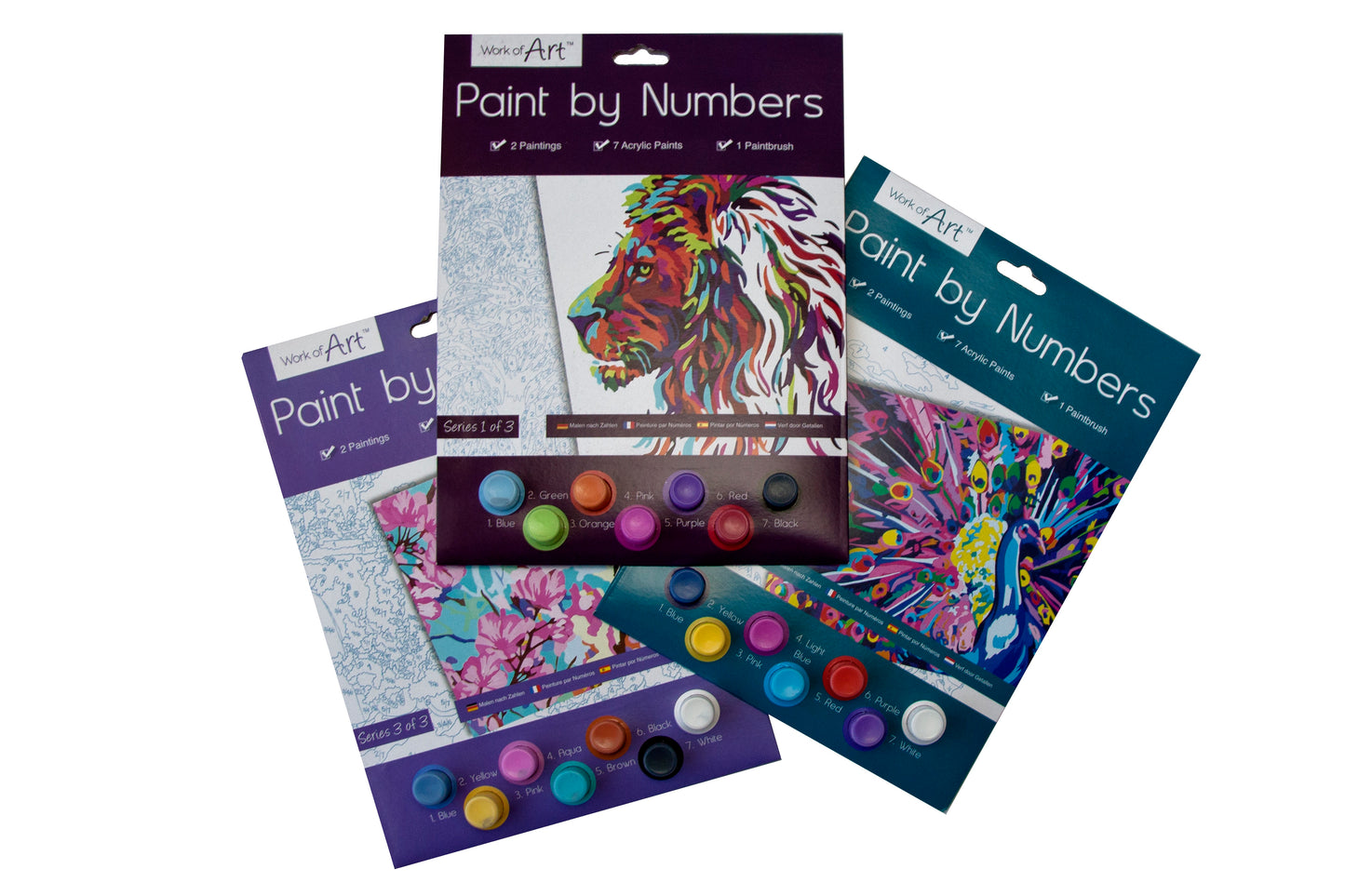 Paint by Numbers Set - Lions